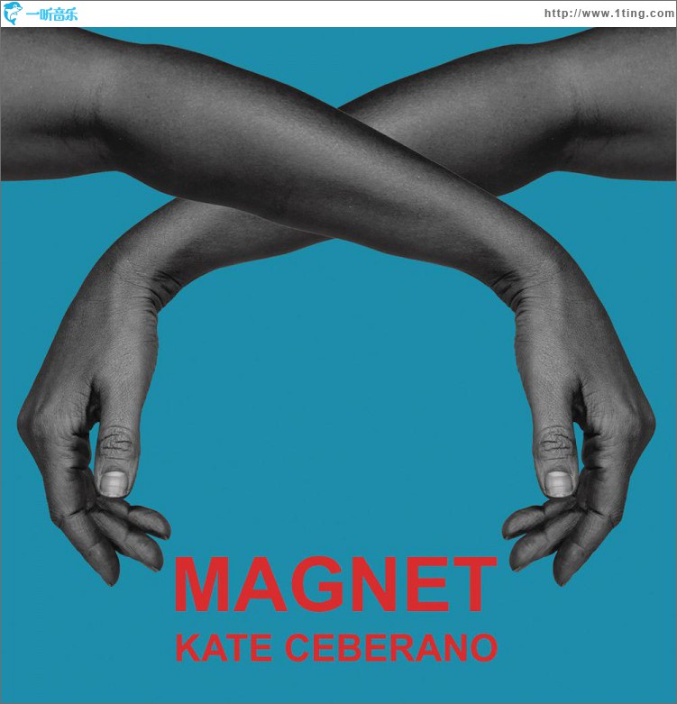 Magnet