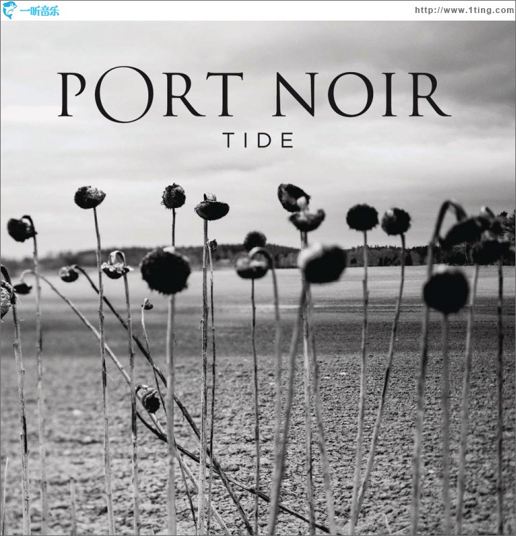 Tide