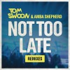 Amba Shepherd Not Too Late (Original Mix) 试听
