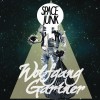 Wolfgang Gartner Space Junk (Radio Edit) 试听