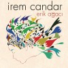 Erik Agaci