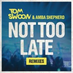 Not Too Late (Remixes)详情