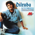 Dilruba详情