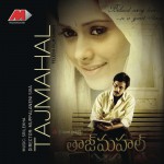 Tajmahal详情
