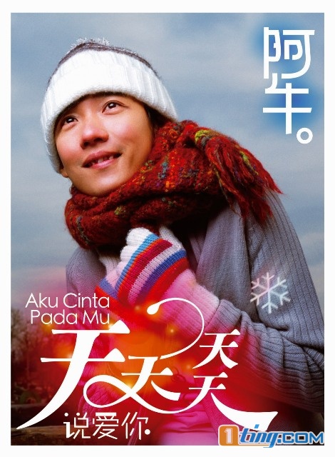 Aku Cinta Pada Mu 天天天天说爱你