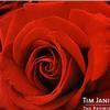 Tim Janis Reflections 试听