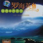银色的月光下详情
