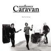 Sunflower Caravan How Can You Say? 试听