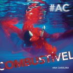 Combustível详情