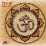 Ohm详情