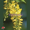Sibella Aashakal Poovani 试听