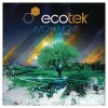 Ecotek Into the Night (Acoustic Mix) 试听