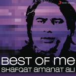 Best of Me Shafqat Amanat Ali详情