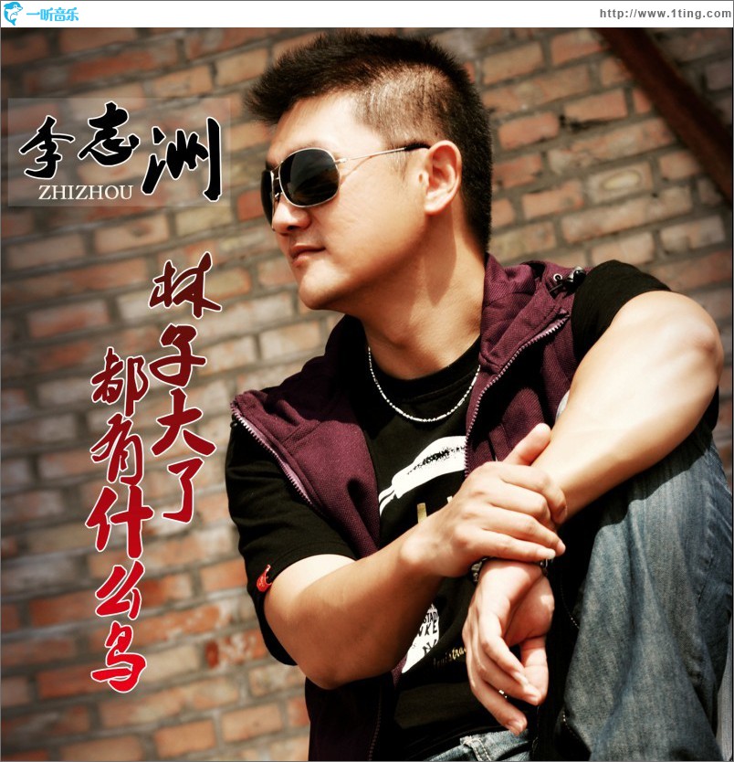 林子大了都有什么鸟(单曲)