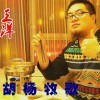 王洋 胡杨牧歌 试听