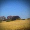 Sun Kil Moon Carissa 试听