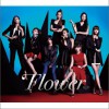 Flower Still 试听