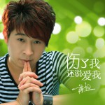 伤了我还说爱我详情