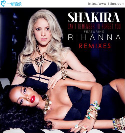 Can’t Remember To Forget You(Remixes)