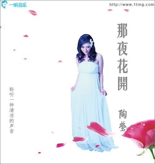 那夜花开