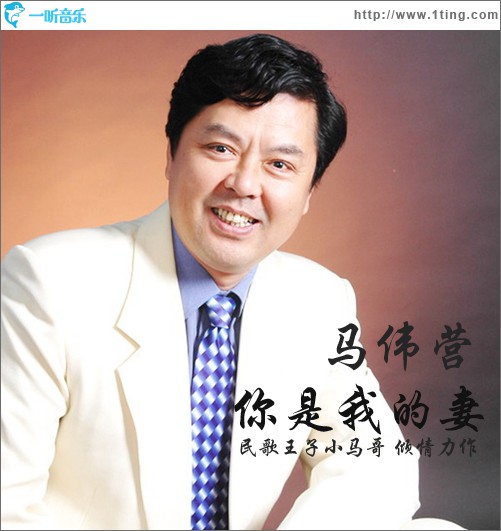 你是我的妻(单曲)
