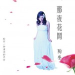 那夜花开详情