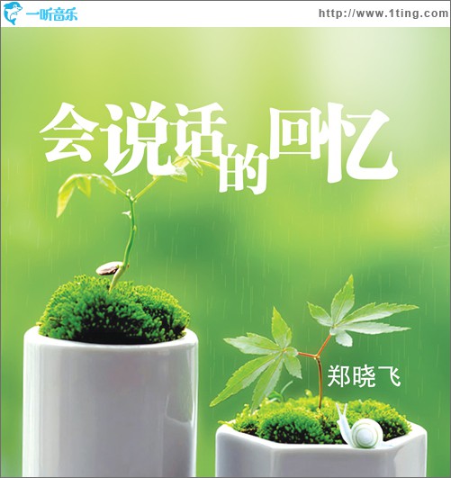 会说话的回忆