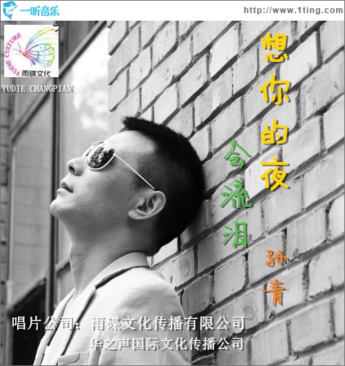 想你的夜会流泪(单曲)