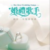 华语群星 关于我爱你 - 张悬 试听