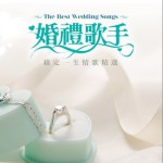 婚礼歌手·缘定一生情歌精选试听