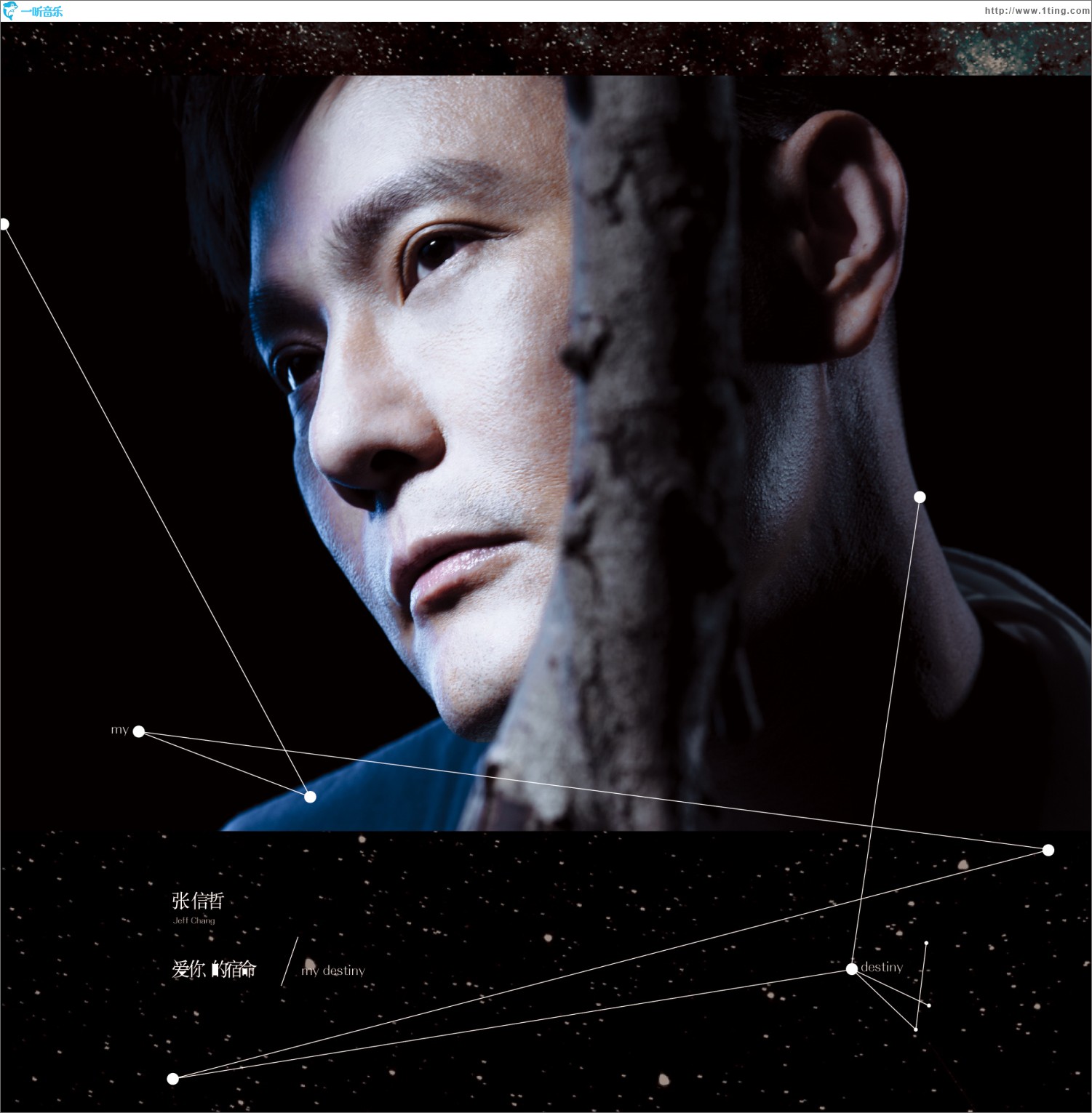 爱你的宿命 （<来自星星的你>主题曲中文版）