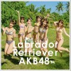 AKB48 ラブラドール・レトリバー 试听
