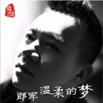 温柔的梦 (单曲)详情