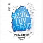 SKOOL LUV AFFAIR SPECIAL ADDITION详情