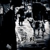 陈俊澎 野狗 试听
