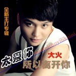 太爱你所以离开你详情