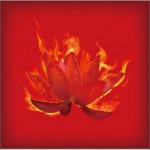 紅蓮 (Single)详情