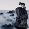 山水之间(单曲)