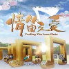电影原声 春天 - 黑鸭子 试听