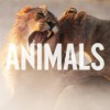 Maroon 5 Animals 试听