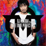 EXILE TRIBE PERFECT MIX详情