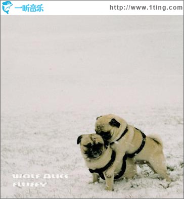 Fluffy(Single)