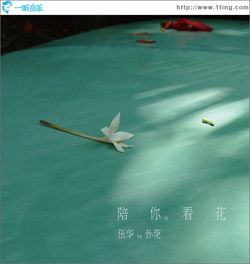 陪你看花(单曲)
