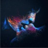 Script, The Flares 试听