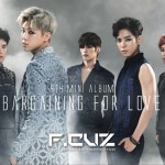 Bargaining for love详情