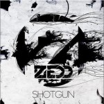 Shotgun(single)