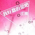 我好蠢的是吧(单曲)详情