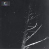 (Colours of the Night) Satellite