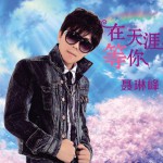 在天涯等你(单曲)详情