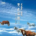 天上草原Ⅱ详情